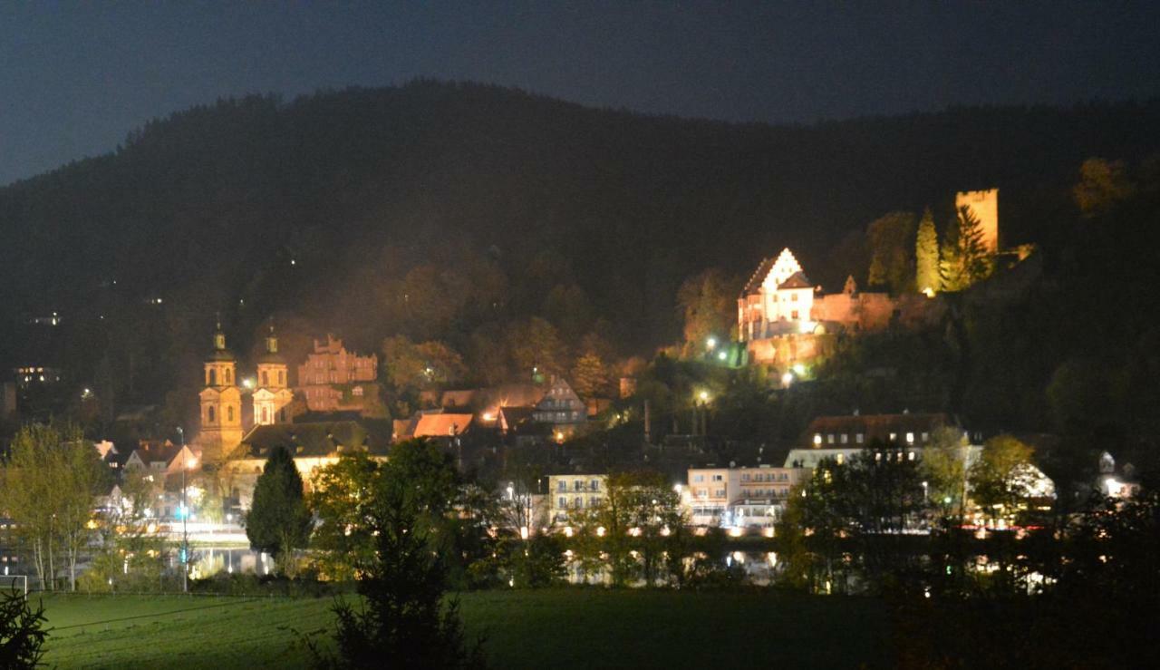Panorama-Blick Miltenberg, 3 Pers., Zentr., Am Main, Terrasse, Bootverleih, P Exterior photo